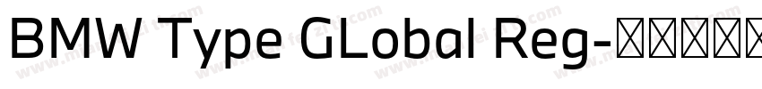 BMW Type GLobal Reg字体转换